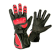 Motorbike Gloves