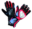 Motorbike Gloves