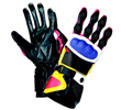 Motorbike Gloves