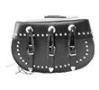 Saddle Bags